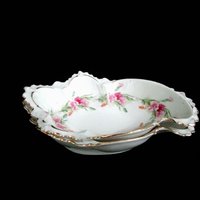 Antique Bone Dishes, Set of 2 Bone Plates, Soap Dish, Jewelry Dish, Deeply Scalloped, Heavy Relief, Pink Roses, Made in Austria, MZ Austria