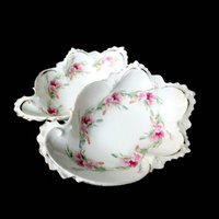 Antique Bone Dishes, Set of 2 Bone Plates, Soap Dish, Jewelry Dish, Deeply Scalloped, Heavy Relief, Pink Roses, Made in Austria, MZ Austria