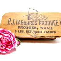 Fruit Vegetable Basket, Lidded Produce Carrier, Wire Handle, Taggares Produce, Prosser WA, Farm Basket. Farmhouse Decor, Farmers Market