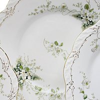 Antique German China, BJK Bav 62, White Flowers, Gold Trim, Deep Green Leaves, Magnolias, Dogwoods, Replacements Plates, Pieces