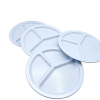 Set of 4, Texas Ware, Divided Plates, Quality Melamine, Light Blue, Grill Plates, Picnic or Summer Outdoor Dining, Dinner Plates