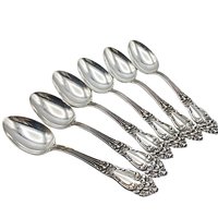 Reed and Barton Festivity aka Tiger Lily Silver Plate Flatware, Service for 8, or a Hostess Set, or Extra Teaspoons