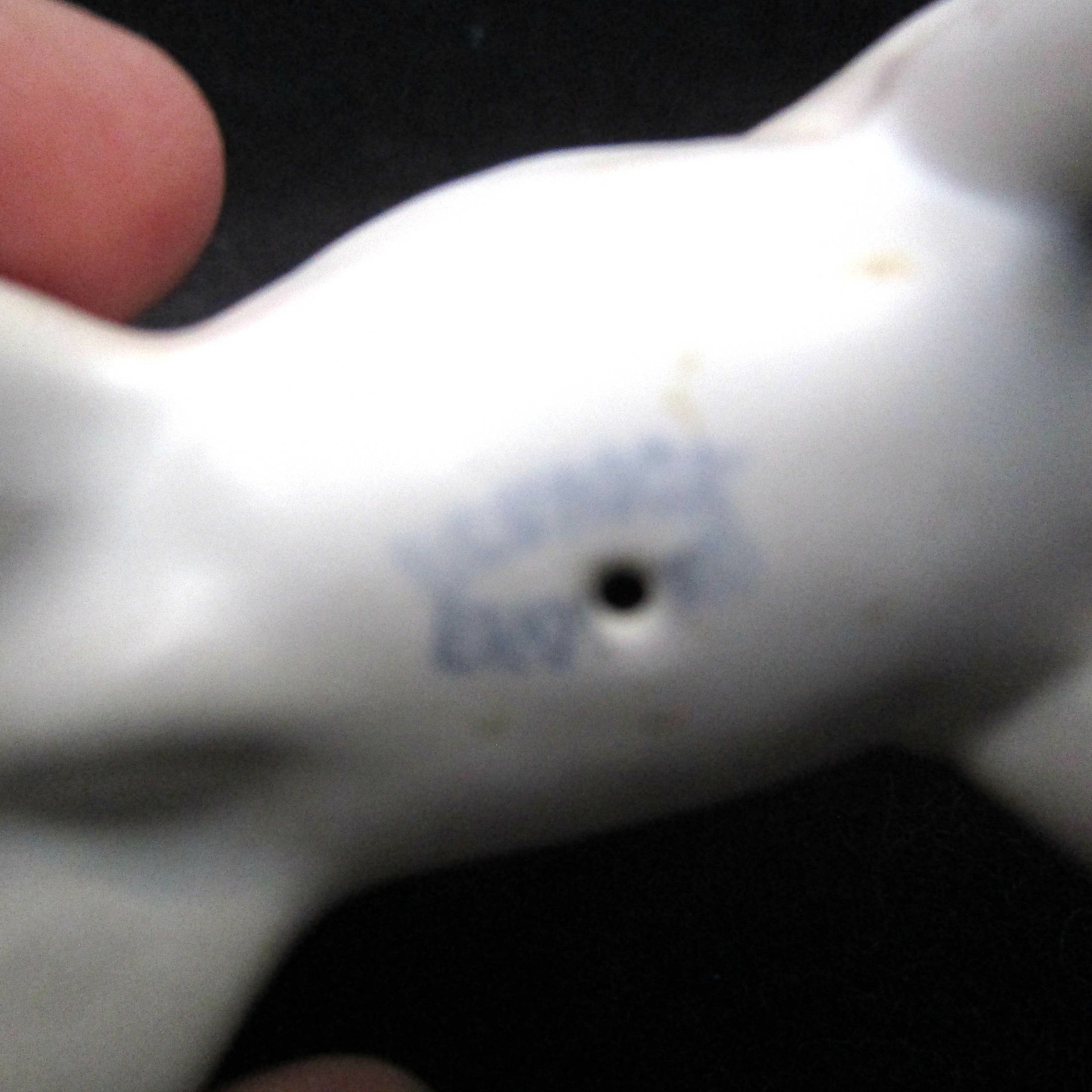 Beswick Fox Terrier Figurine, Dog Figurine, Made in England, Ships Free, Make Offer