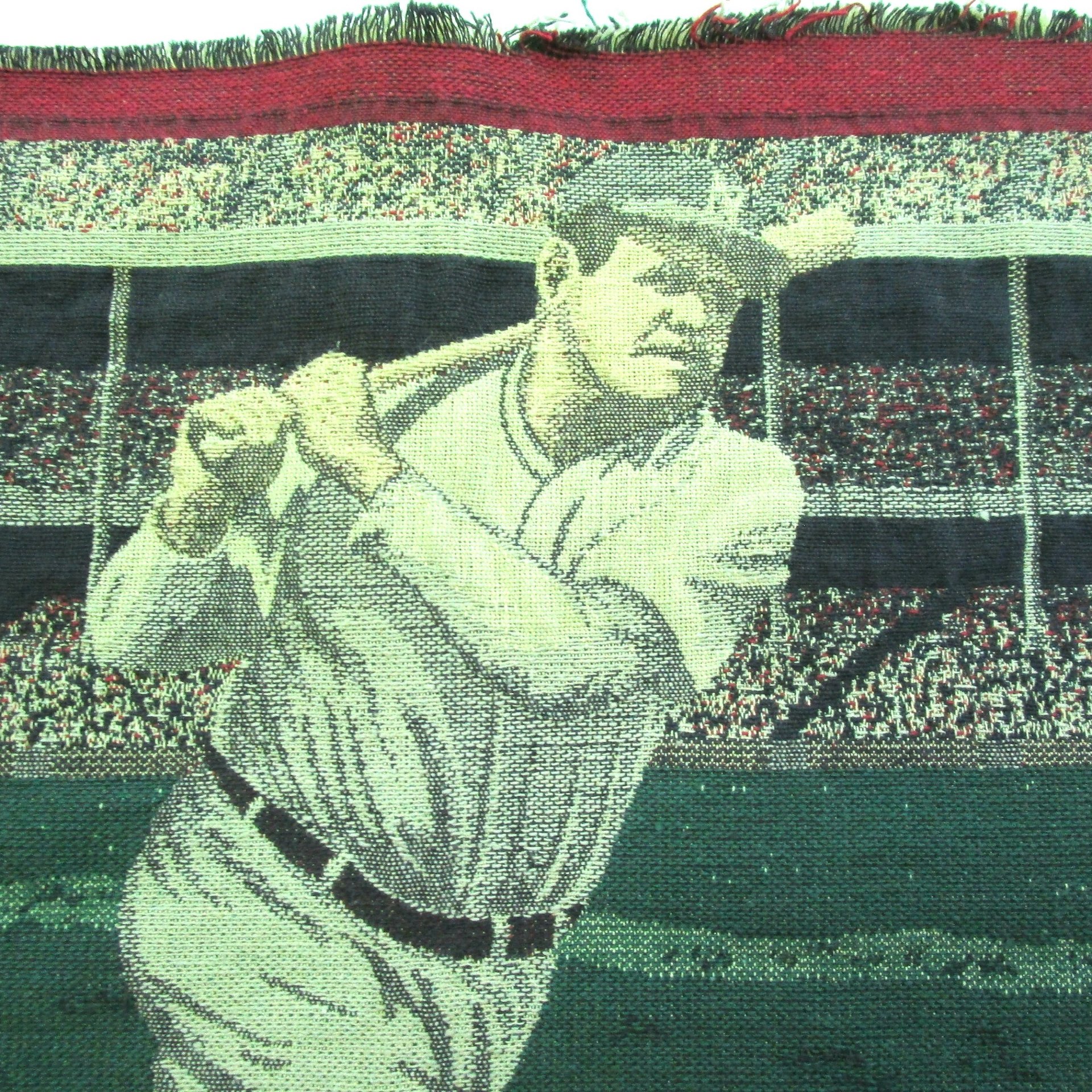 Babe Ruth Tapestry, Pillow Front Panel or Cover, Gift for Baseball Fan, Make Offer