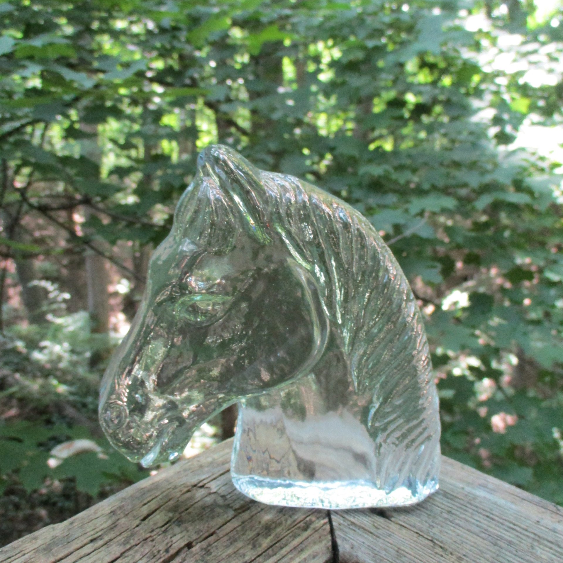 Horse Bookend, Glass Horse Head Paperweight, Heavy Bookend, Gift for Horse Lover